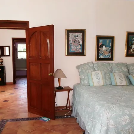 Casa Gatos