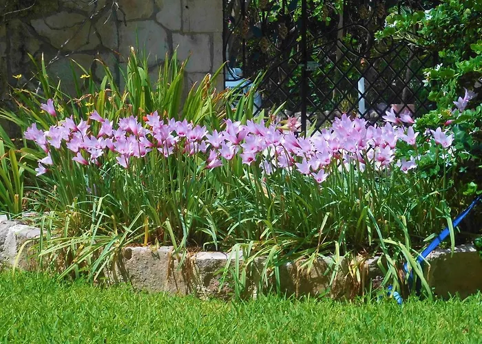Casa Gatos