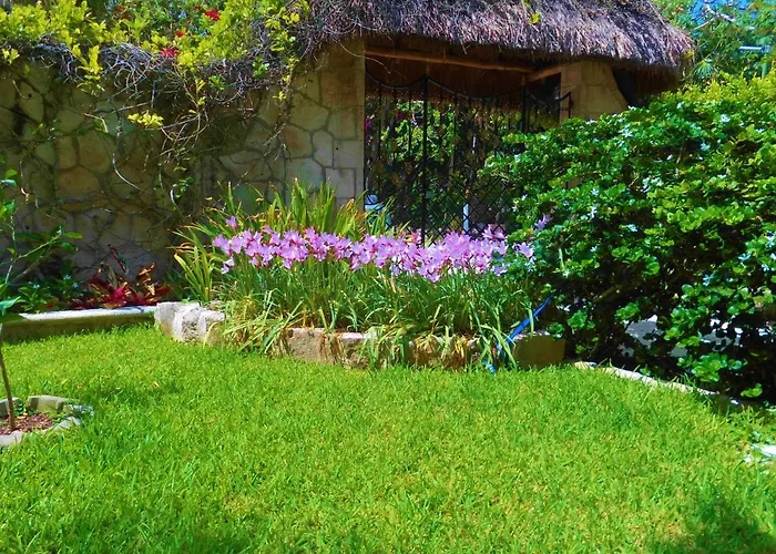 Casa Gatos