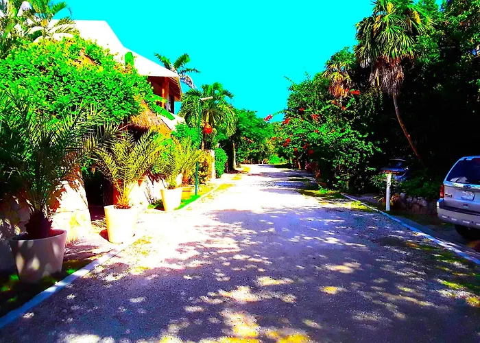 Casa Gatos Apartahotel Akumal