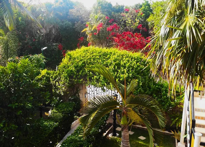 Casa Gatos 4*