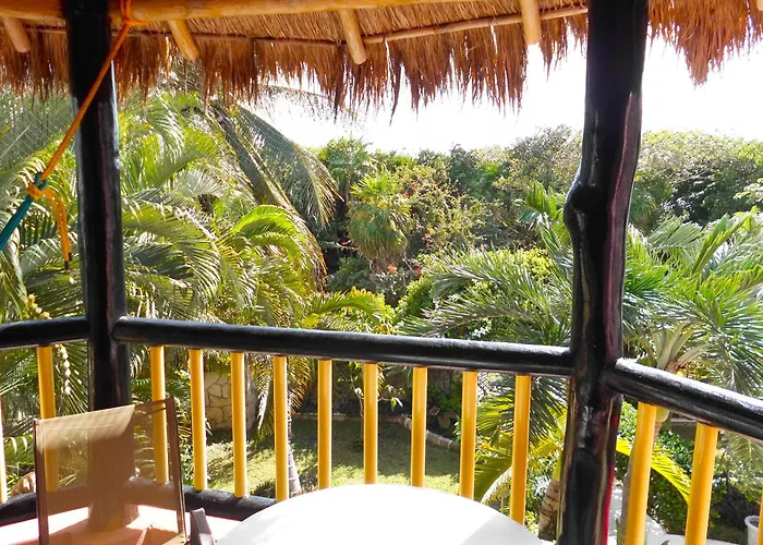 Casa Gatos 4*