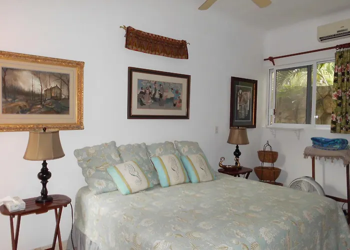 Casa Gatos