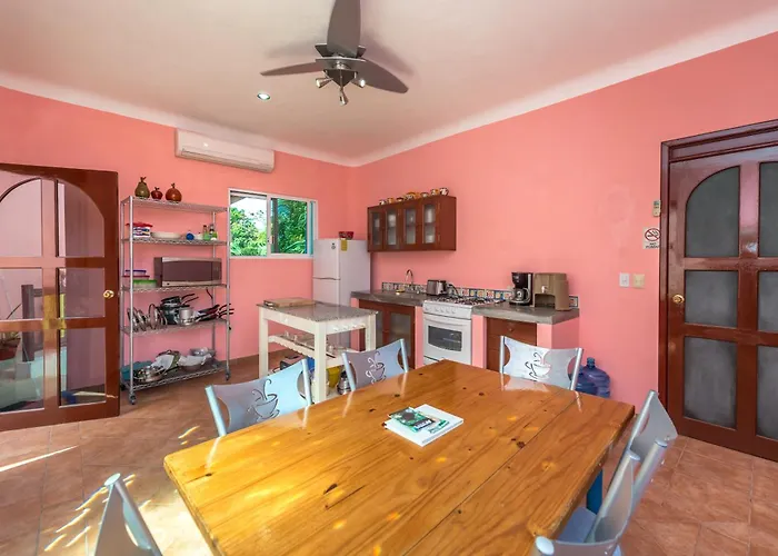 Casa Gatos 4*
