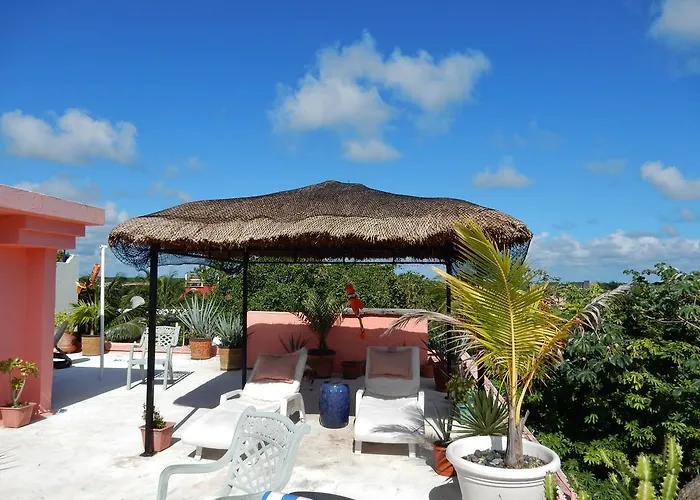 Casa Gatos