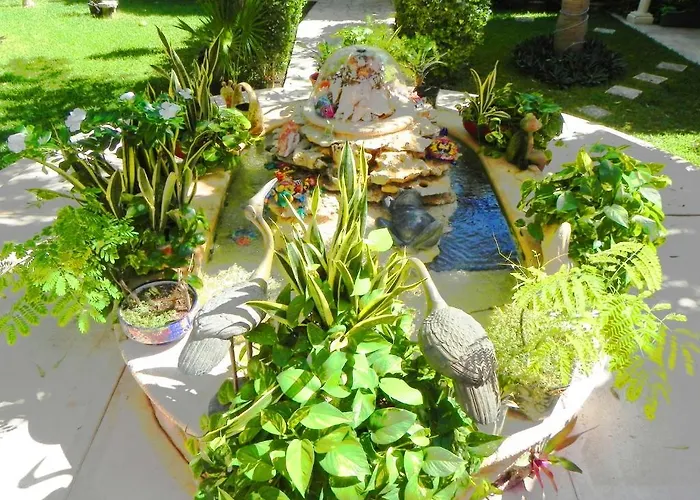 Casa Gatos Apartahotel 4*