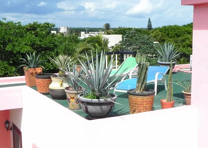 Casa Gatos