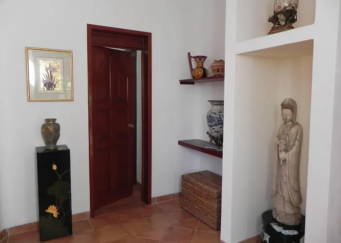 Casa Gatos